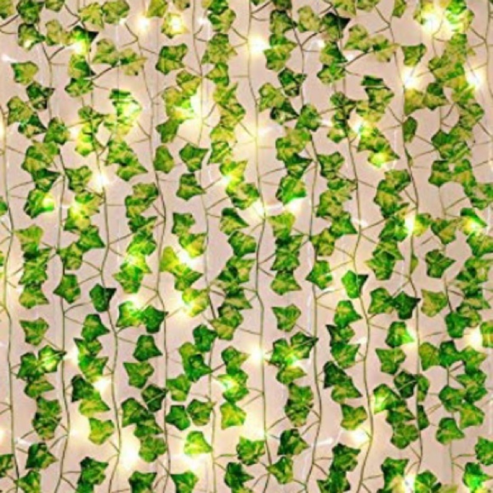 Meet your Posher, Isabelle